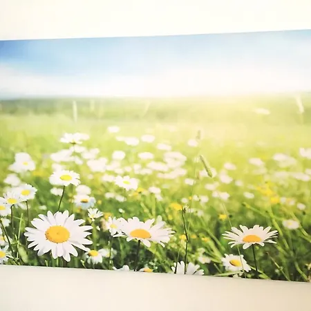 Appartement Flowerside